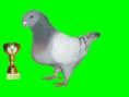/album/gigant-homer/img-bbb-jpg/